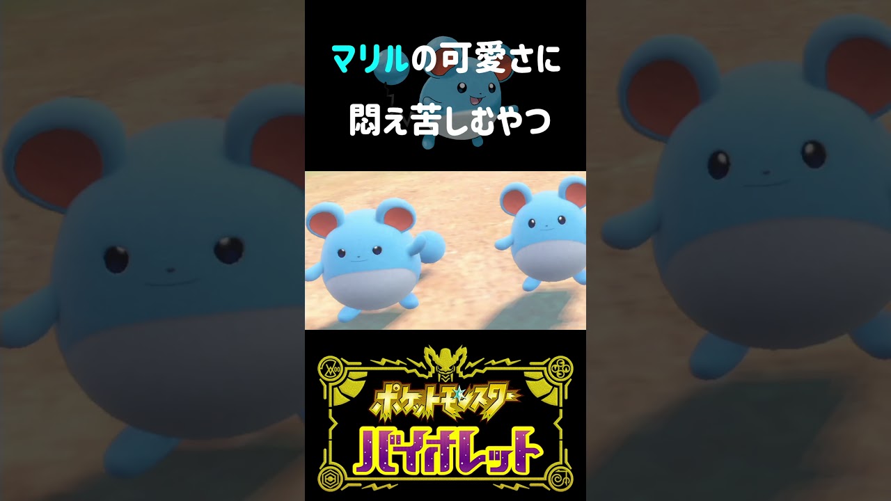 マリルの動きが可愛すぎる【ポケモンSV】#shorts