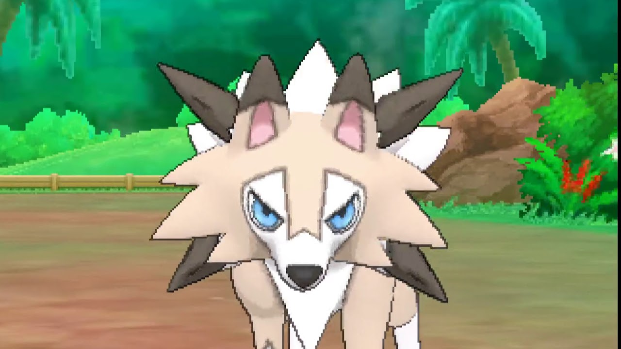 ポケリフレ　ルガルガン(まひるのすがた)と戯れるだけの動画