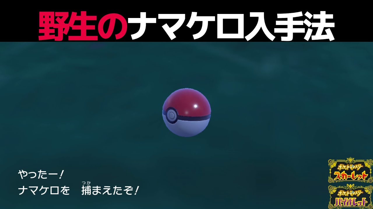 【ポケモンSV】ナマケロの生息地はどこ？捕まえ方を解説【ポケットモンスタースカーレットバイオレット】