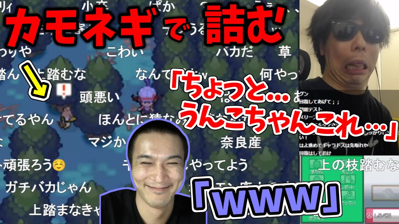 カモネギで詰みまくるもこう先生と煽りまくる加藤純一　【加藤純一 × もこう先生】【ポケモンHGSS】