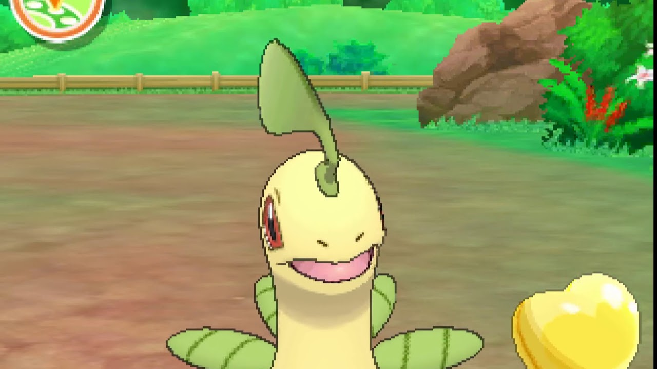 ポケリフレ　ベイリーフと戯れるだけの動画