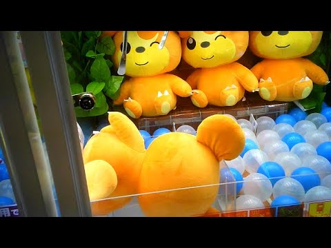 【クレーンゲーム】ポケットモンスター めちゃでかヒメグマ/ミミッキュ ぬいぐるみ