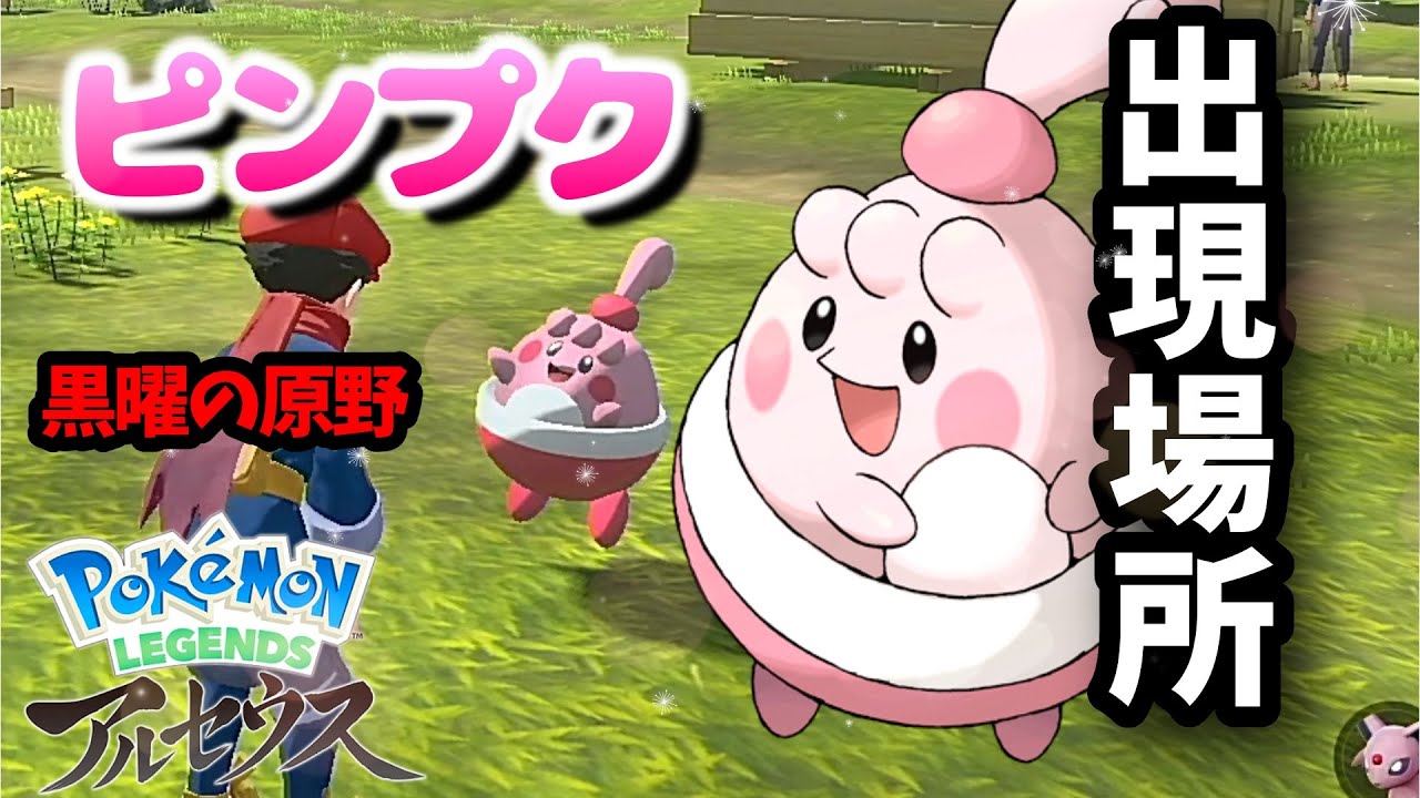 【黒曜の原野】ピンプクの出現場所【ポケモンアルセウス】