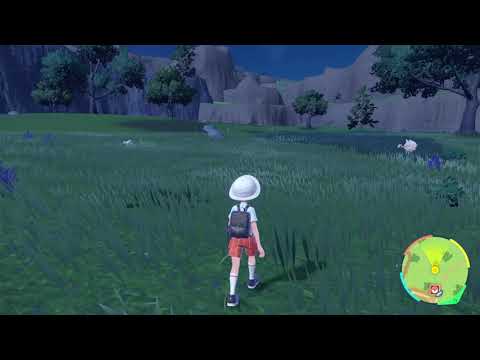 【ポケモンSV】パチリスの出現場所・行き方【スカーレットバイオレット】