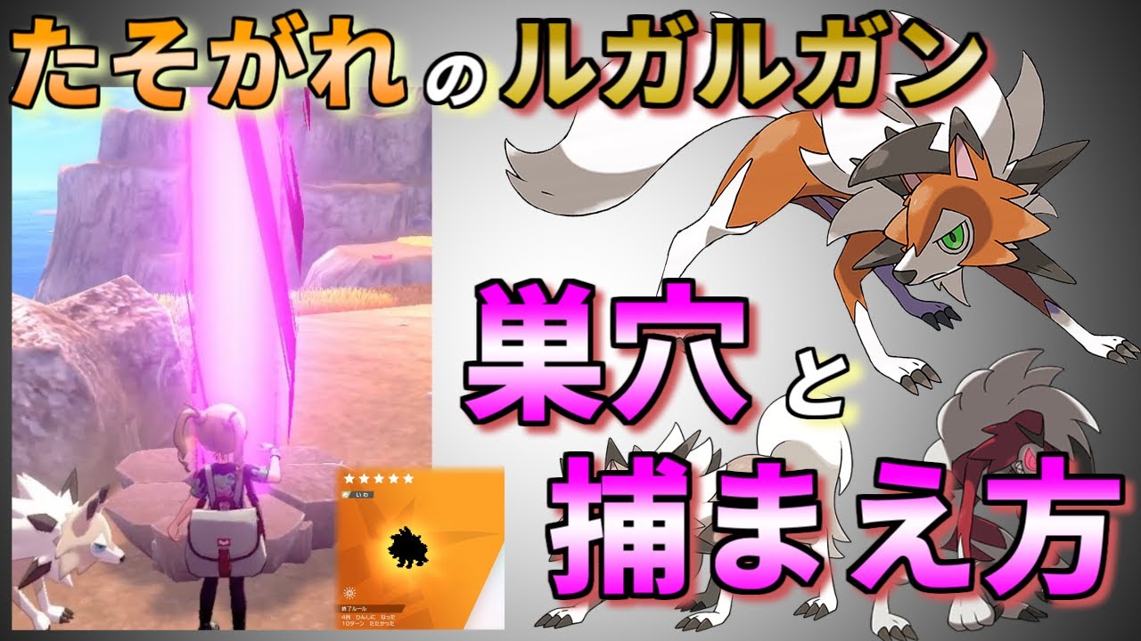 【ポケモン剣盾】たそがれのルガルガンの捕まえ方　教えます！【マイペースのイワンコ/夢特性/出現場所/巣穴/入手方法/レイド】