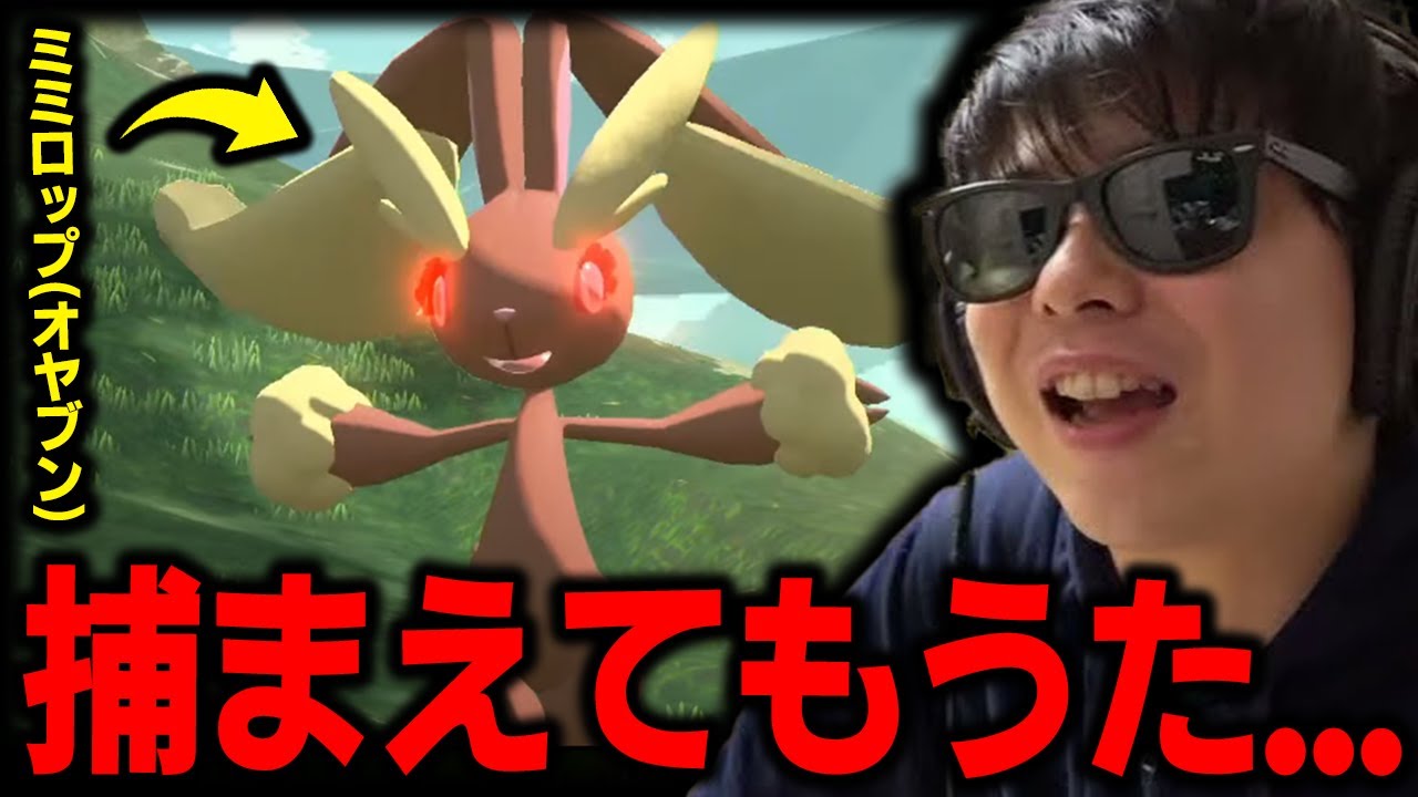 【アルセウス】これで無双できる!! 超序盤にミミロップ(Lv40)を捕まえてしまった漢ｗｗｗ【もこう ポケモン 切り抜き】