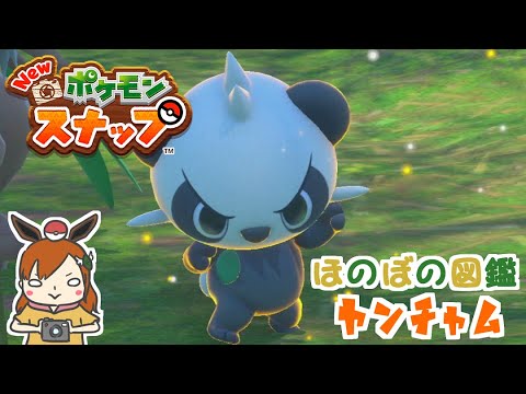 【ヤンチャム】超秘密特訓を激写！！ほのぼの図鑑！【Newポケモンスナップ】#shorts