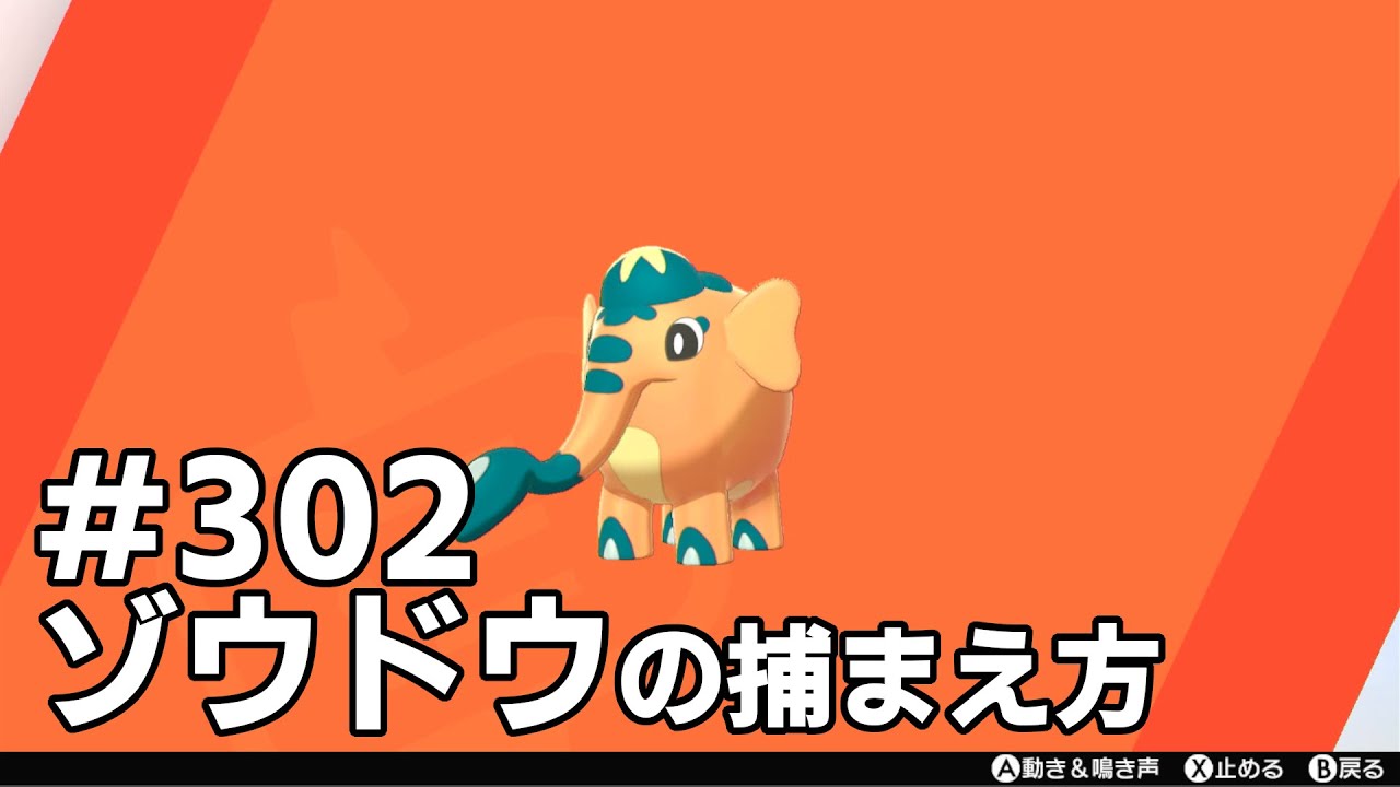 ゾウドウを探している方に見てほしい動画