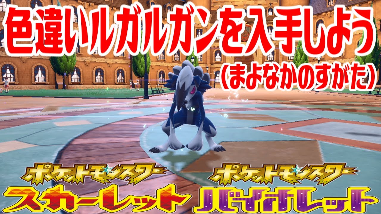 【ポケモンSV】色違いルガルガン(まよなかのすがた)を入手しよう 進化入手【ポケットモンスター スカーレット・バイオレット】Pocket Monsters