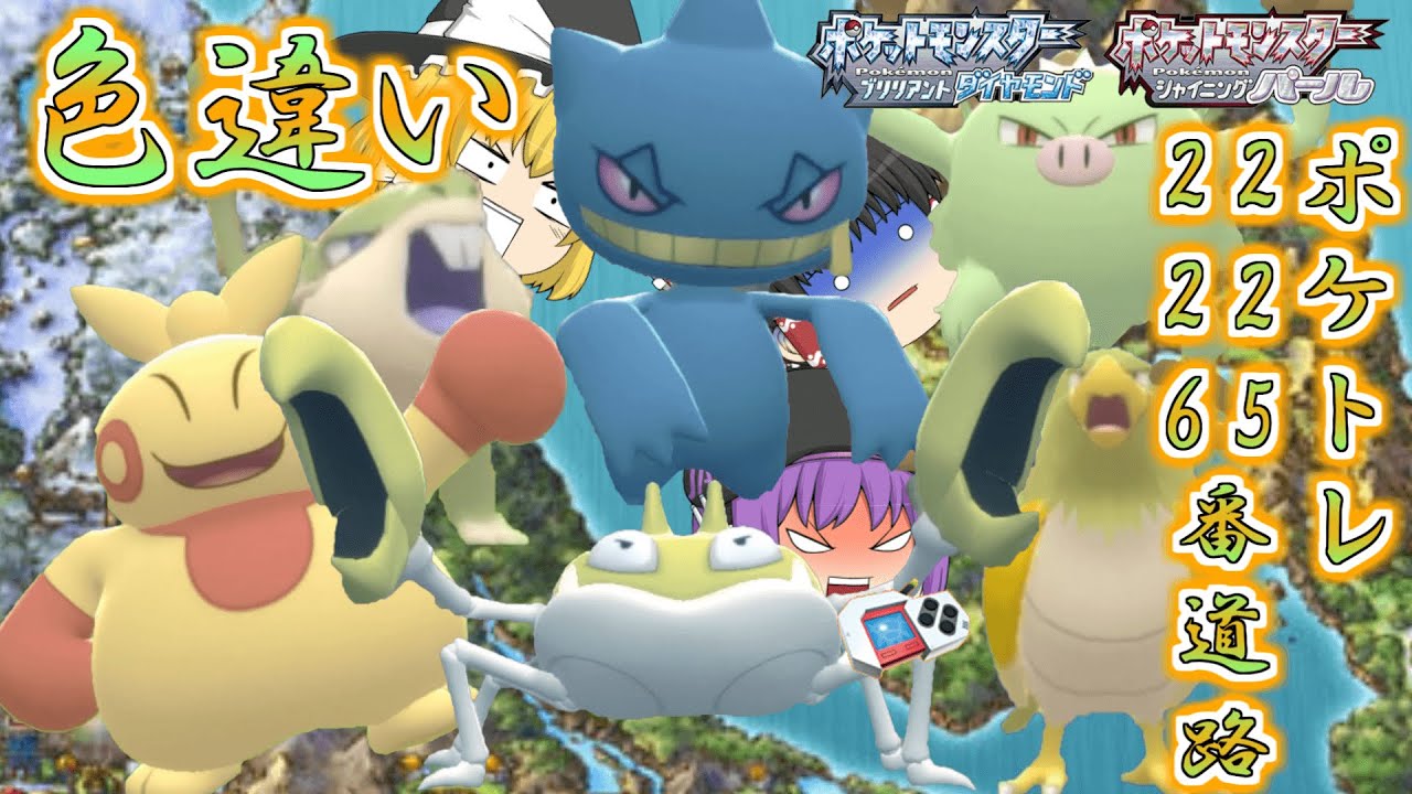 【ポケモンBDSP】マクノシタとクラブが大量発生したから色違い欲しい…じゃあついでに225番道路と226番水道の色違いポケトレで全部ゲットしちゃお♡【ゆっくり実況】
