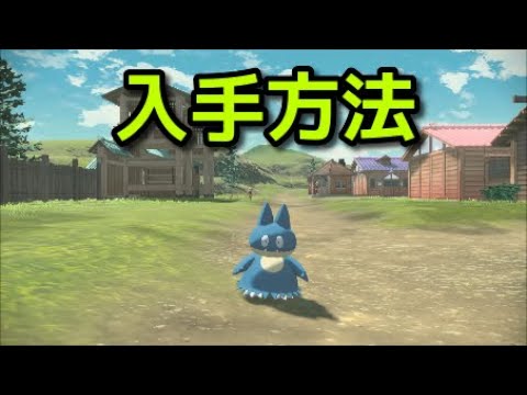 【ポケモン アルセウス】ゴンベ 入手方法 出現場所 捕まえ方【Pokémon LEGENDS アルセウス】
