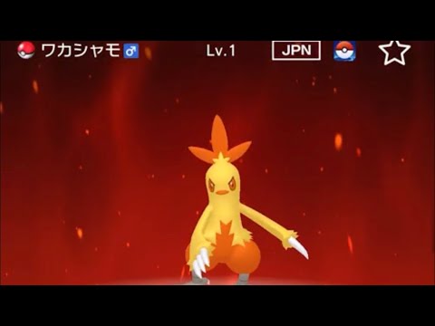 【正規】レベル1ワカシャモが爆誕した。【ポケモンHOME】
