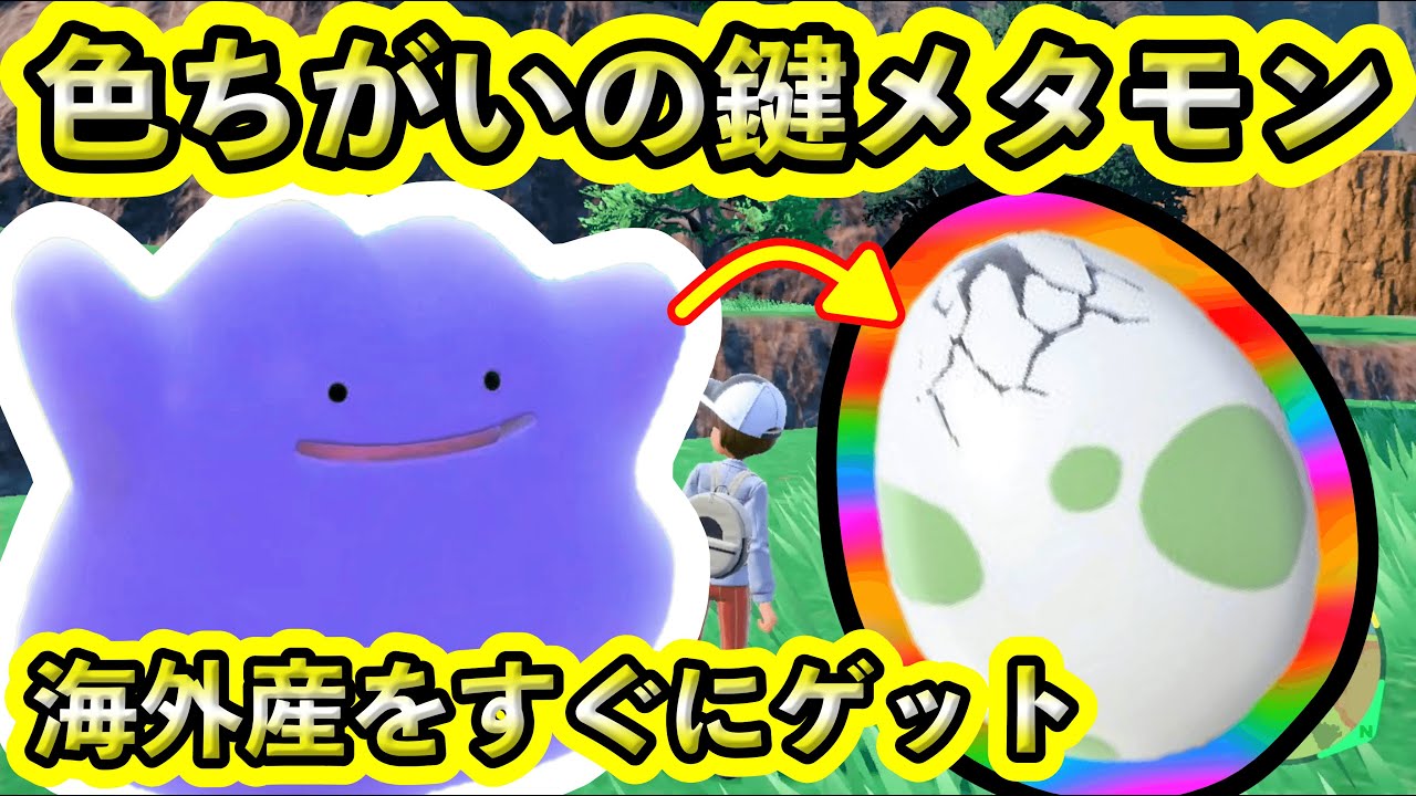 【ポケモンSV】色ちがいタマゴの鍵になる「海外産メタモン」を誰でもすぐにゲットできる方法！