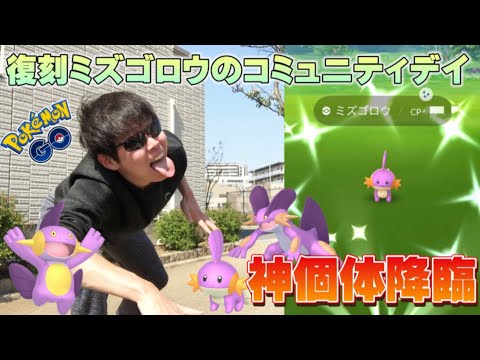 真剣ガチモード！神個体・色違い大量捕獲！復刻ミズゴロウのコミュニティデイが楽しすぎた！【ポケモンGO】
