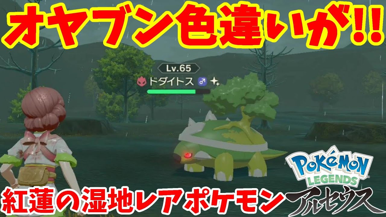 オヤブン色違いドダイトスが！紅蓮の湿地レアポケモンの場所まとめ【ポケモンレジェンズアルセウス】