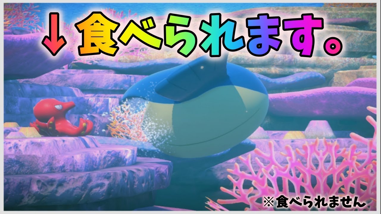 ホエルコまじか…。【Newポケモンスナップ】part4