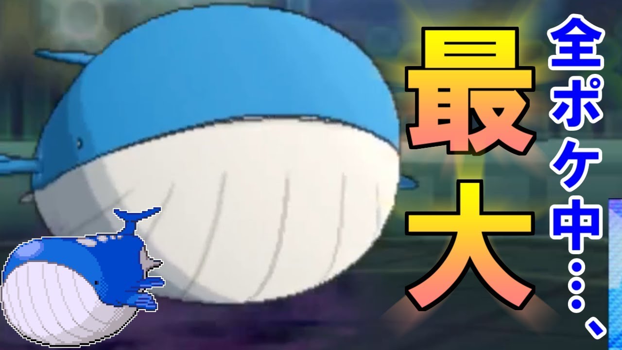 全ポケモン800匹中、最長の鯨「ホエルオー」【ポケモンUSUM/ウルトラサン・ウルトラムーン】
