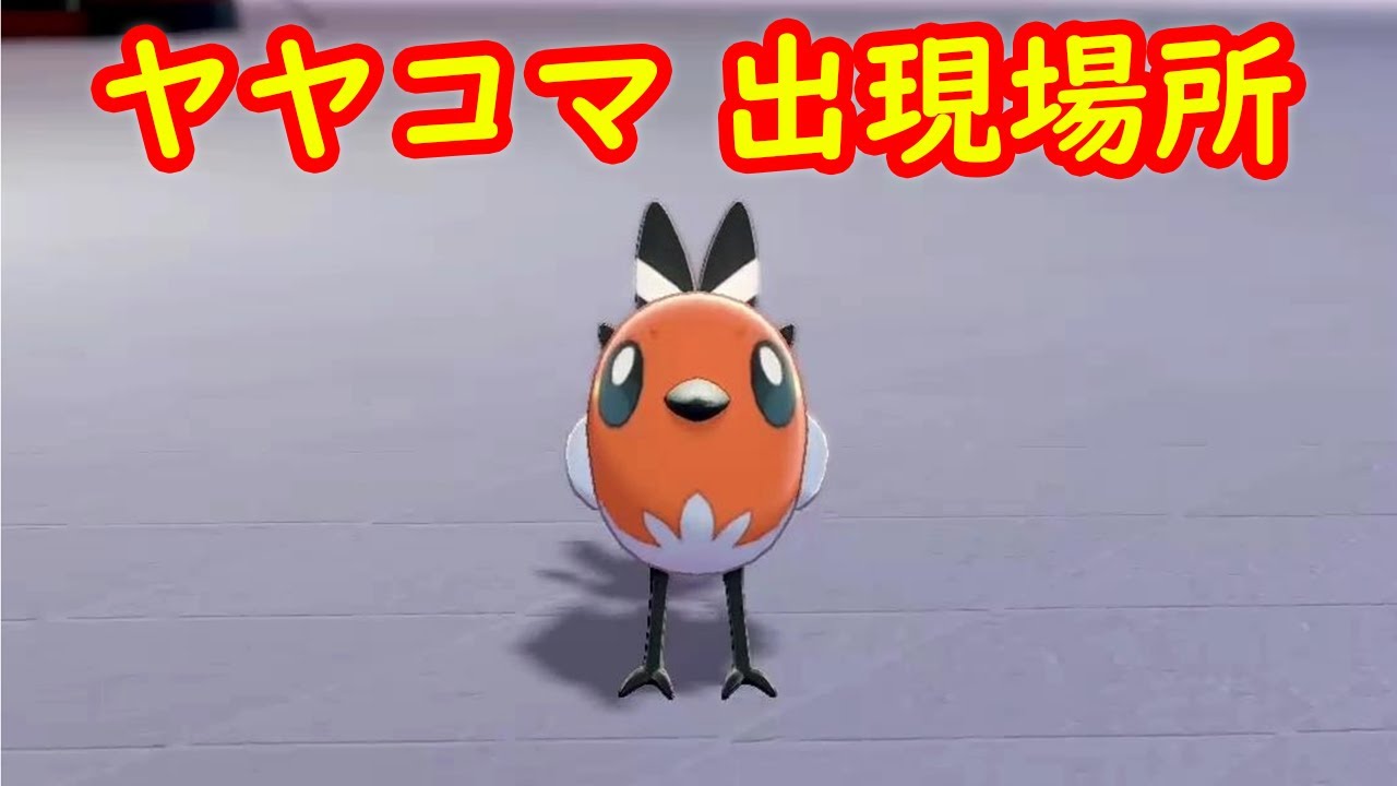 【ヤヤコマ】出現場所 攻略【鎧の孤島 ポケモン剣盾DLC】