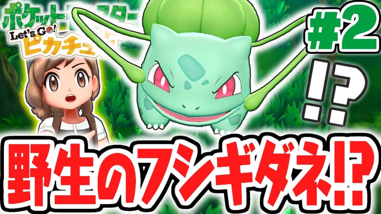 最初の3匹が野生で出現!?トキワの森でフシギダネをゲット!!ピカブイ実況Part2【ポケットモンスター Let's Go! ピカチュウ・Let's Go! イーブイ】