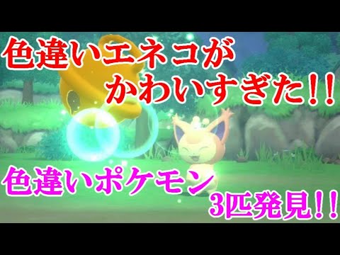 【ダイパリメイク】色違いエネコがかわいすぎた！！色違いポケモン3匹発見！！