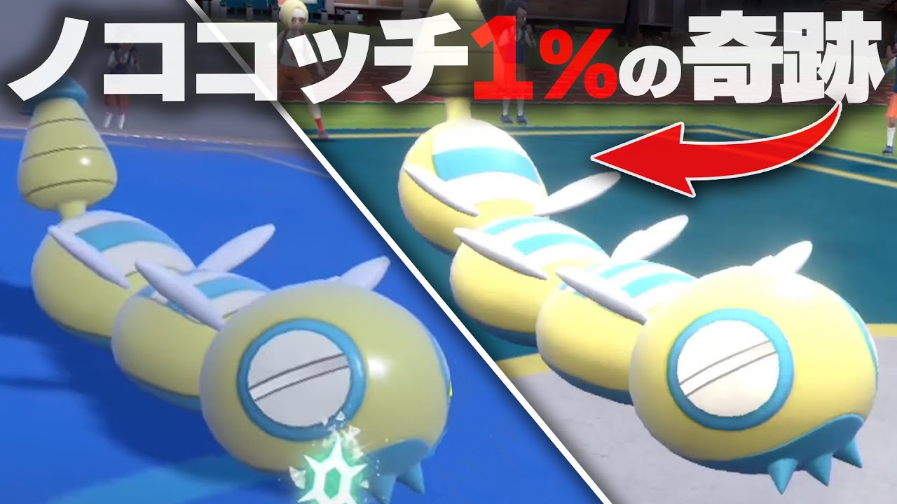【出現率1％⁉️】ノココッチの激レア個体「みつふしフォルム」知ってる？【ポケモンSV】