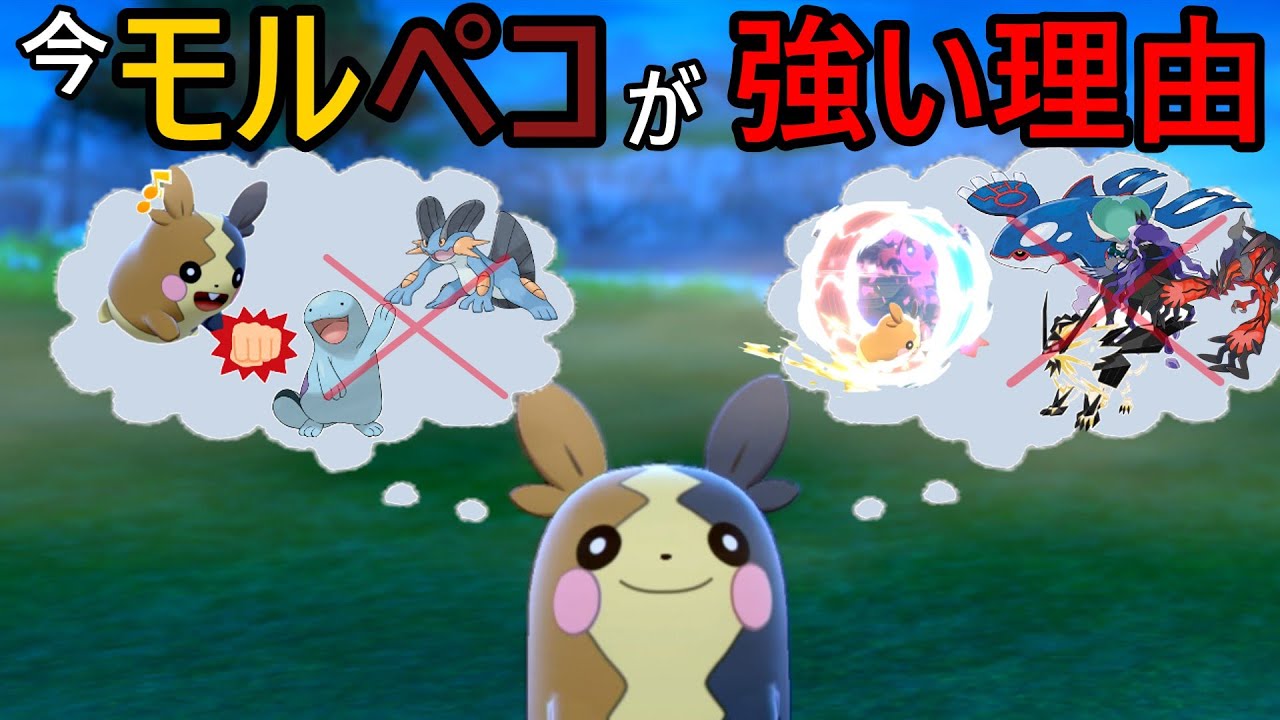 伝説2匹環境の今、モルペコさんが強い理由【ポケモン剣盾】【ゆっくり実況】