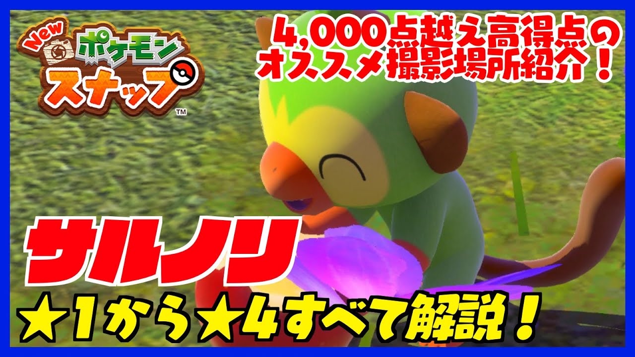 【Newポケモンスナップ】サルノリの高得点撮影スポット！星1から星4まで最高評価の撮影方法を解説