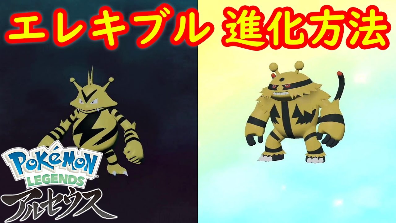 【エレブー → エレキブル】特殊進化方法 攻略  【Pokémon LEGENDS アルセウス ポケモン レジェンズ アルセウス】