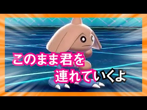 【マイナーパ】カポエラーで丁寧丁寧丁寧に勝ちたい……！ 3つの先制技で環境を砕け【ポケモン剣盾】