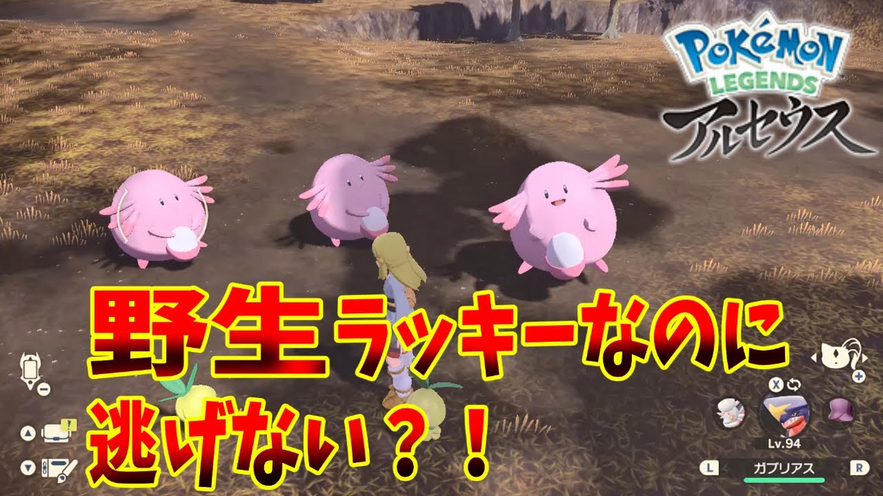 【レジェンズアルセウス】負傷時にハピナス、ラッキー、ピンプクに近づくとどうなるのか検証してみたらとんでもない結果に。。。