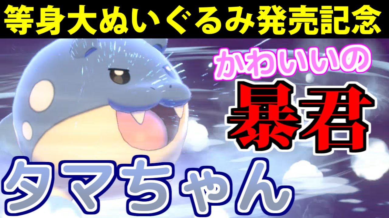【ポケモン剣盾】まんまる可愛い最強ポケモンの「タマザラシ」が禁止伝説に混ざって戦うぞ!!【等身大ぬいぐるみ記念】