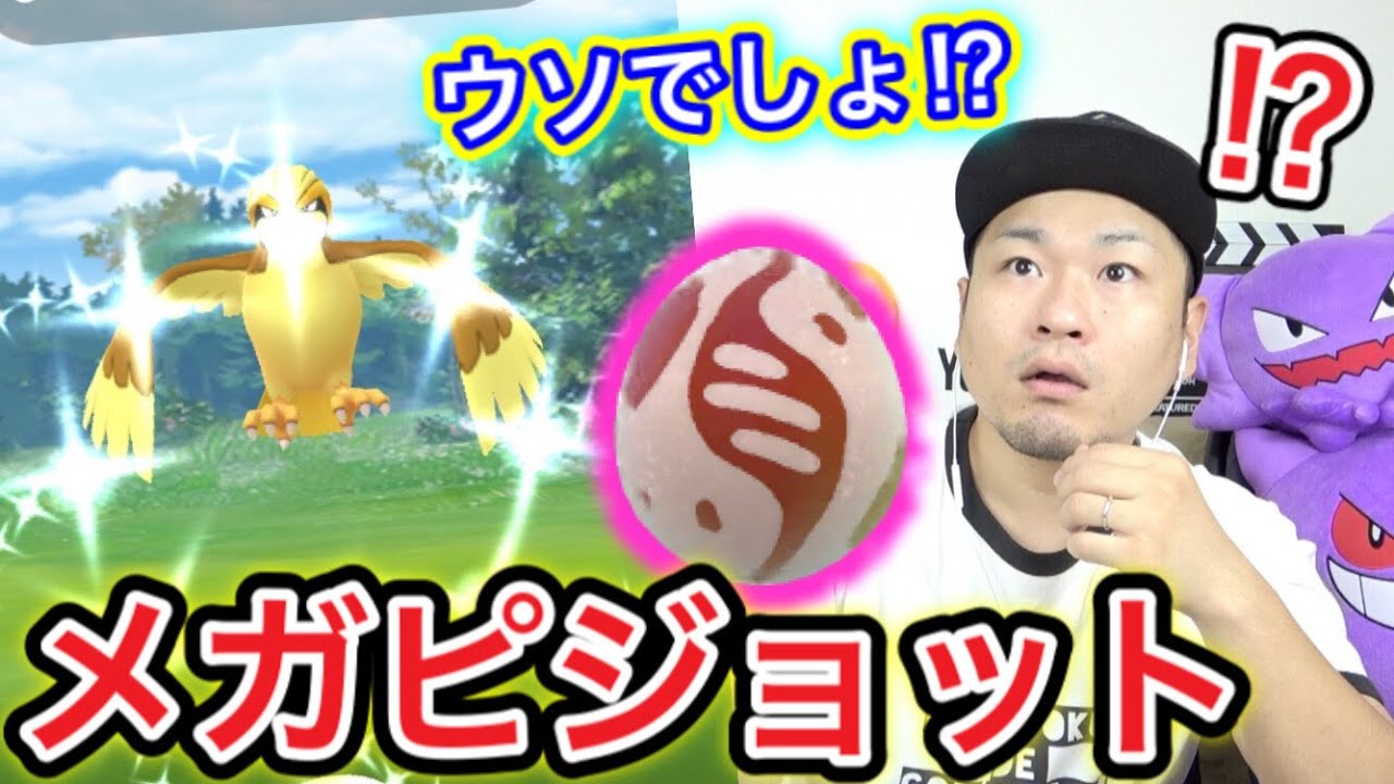 え？色違い？！メガピジョット３人討伐の結果がExcellent！【ポケモンGO】