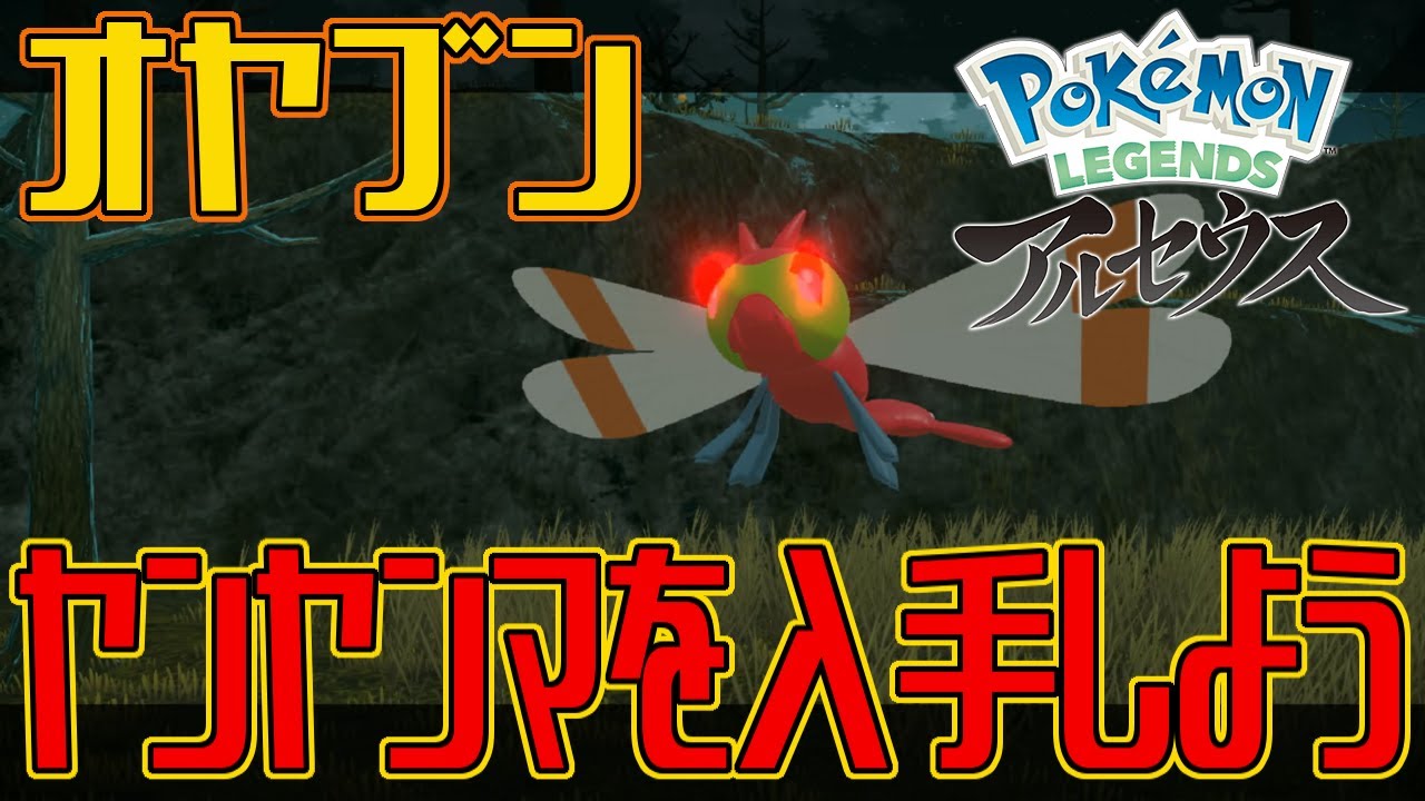 【ポケモンアルセウス】オヤブンのヤンヤンマを入手しよう【Pokémon LEGENDS アルセウス】