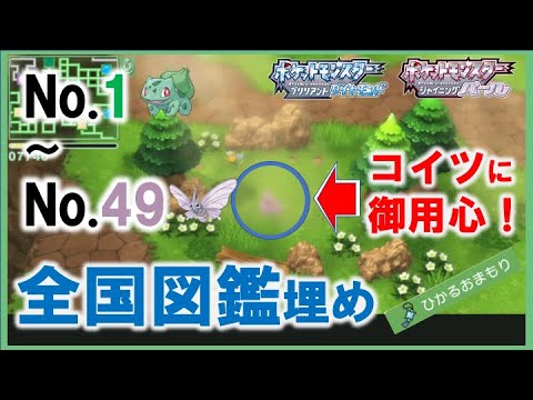 【ポケモン ダイパリメイク】全国図鑑を完成させよう！No.1~49までの埋め方解説！- あのポケモンには御用心！ -【BDSP/ひかるおまもり/アーボ/色違い】