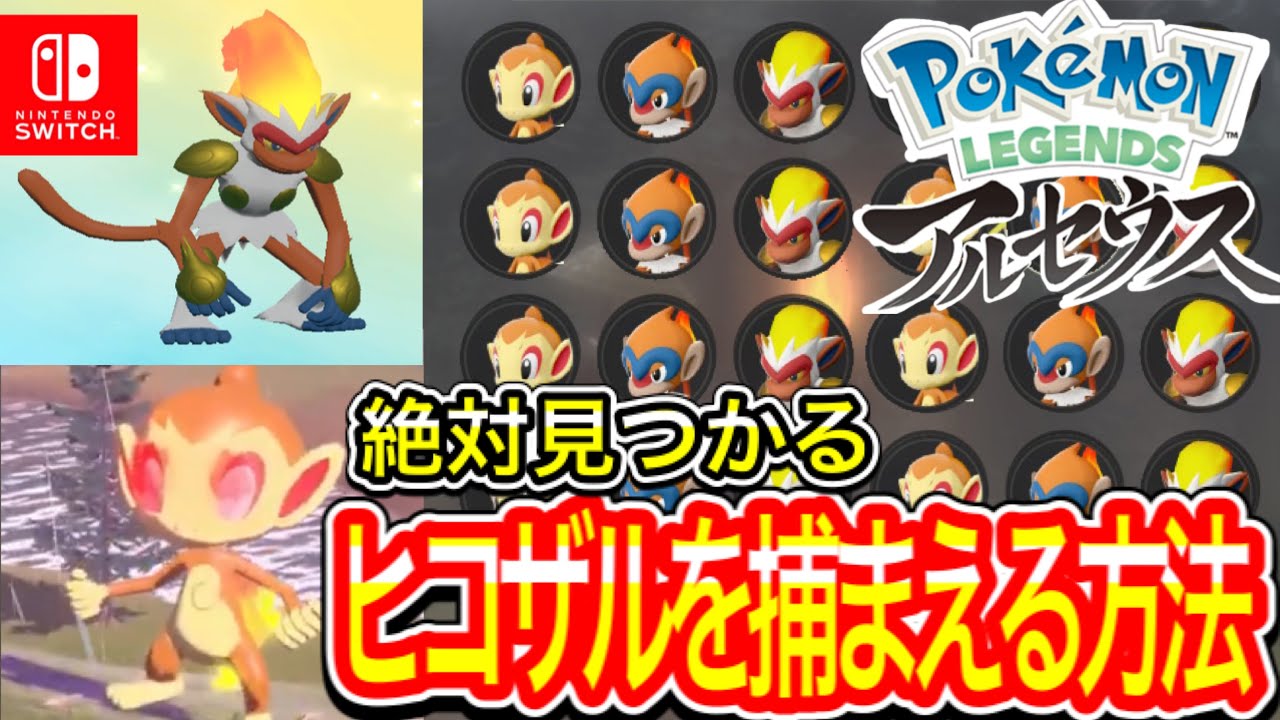 ヒコザル・モウカザルが欲しい人【Pokémon LEGENDS アルセウス】シンオウ地方御三家。ヒコザルのゲット方法と出現ポイントを徹底解説