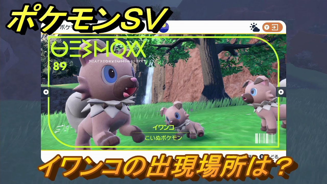 ポケモンＳＶ　イワンコの出現場所は？図鑑No.８９　ポケモン図鑑を埋めよう！　【スカーレット・バイオレット】