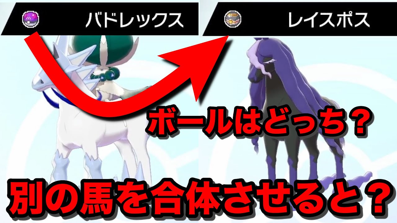【検証】バドレックスを別の馬と合体させたら意外すぎる結果になったww【冠の雪原/ポケモン剣盾有料DLC】