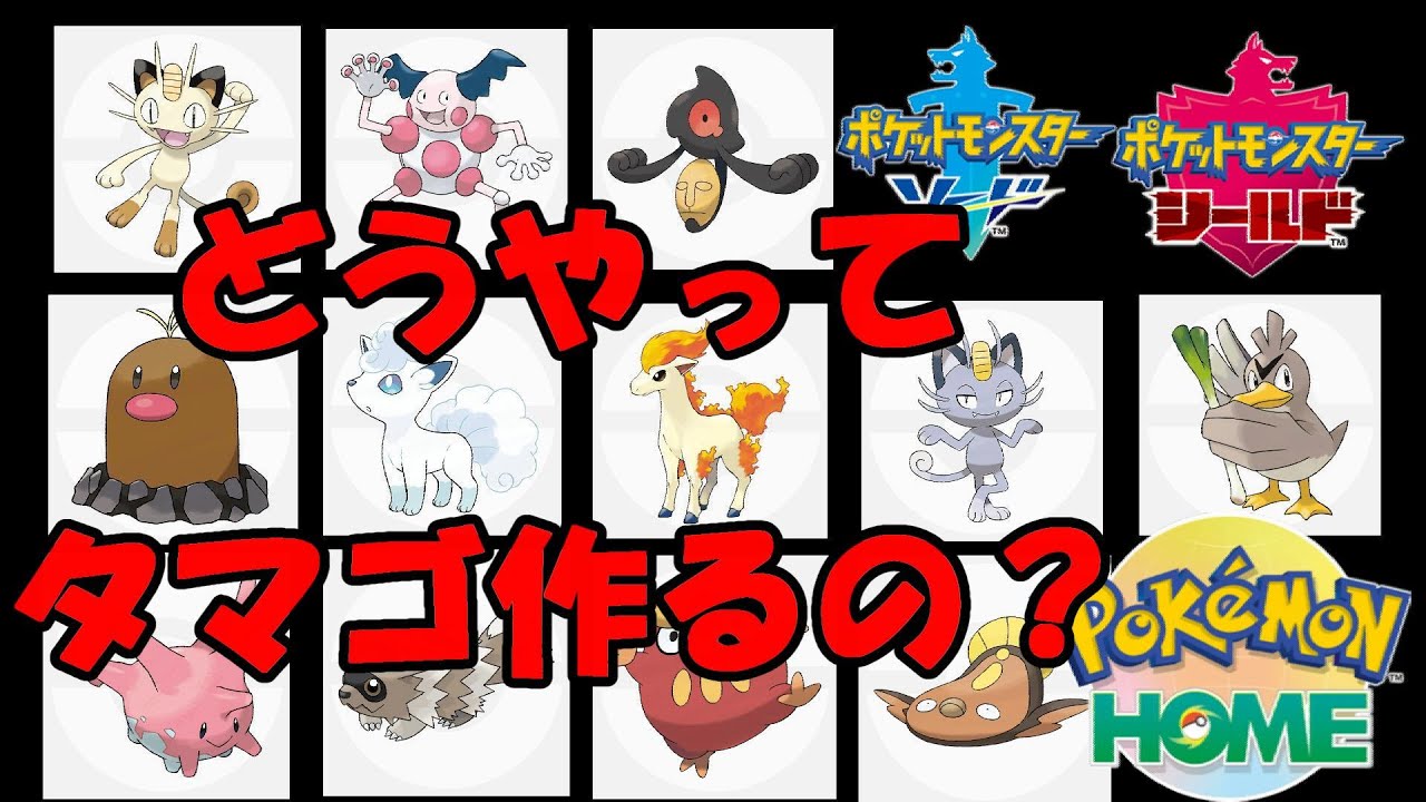 【ポケモン剣盾】「原種・アローラのすがた」のタマゴの作り方【ポケモンホーム】