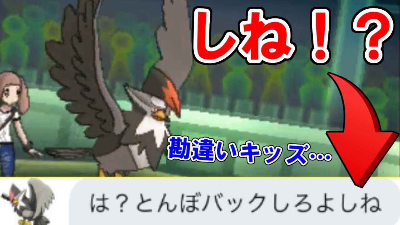 勘違いキッズにキレられました。【ポケモンUSUM/ウルトラサン・ウルトラムーン】