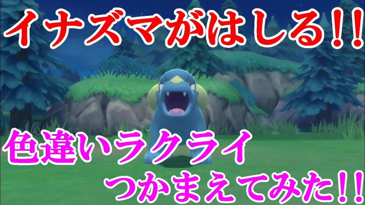 【ダイパリメイク】イナズマがはしる！！色違いラクライつかまえてみた！！