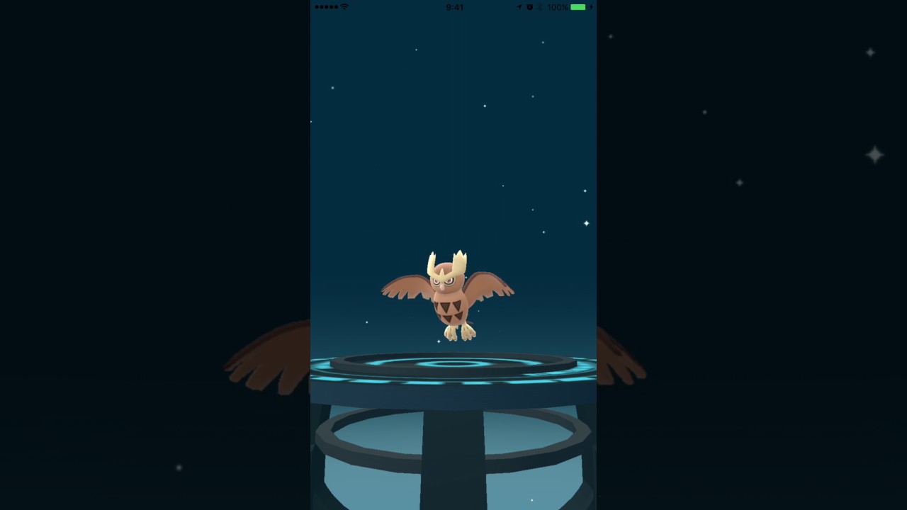 【ポケモンGO】金銀　進化動画　ホーホー　→　ヨルノズク