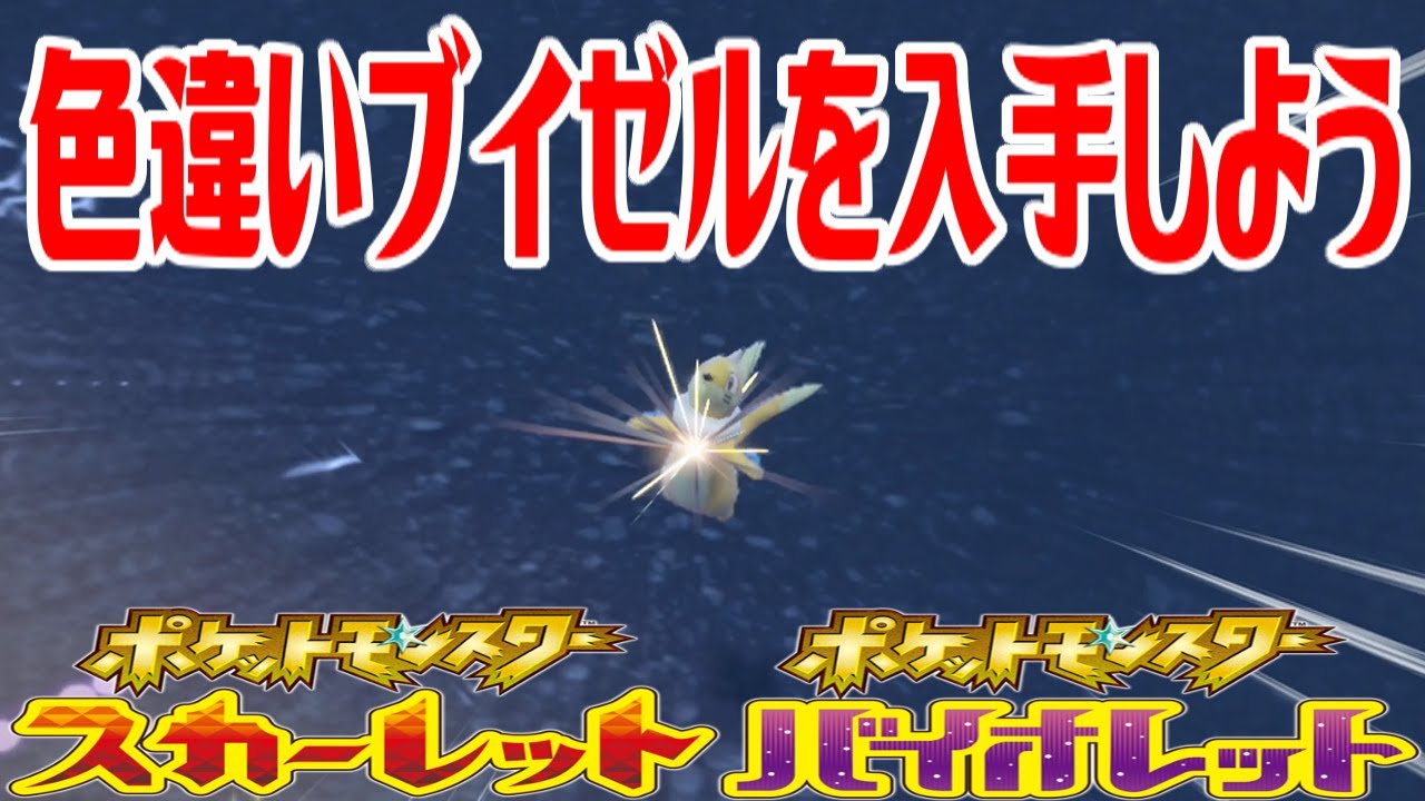 【ポケモンSV】色違いブイゼルを入手しよう【ポケットモンスター スカーレット・バイオレット】Pocket Monsters