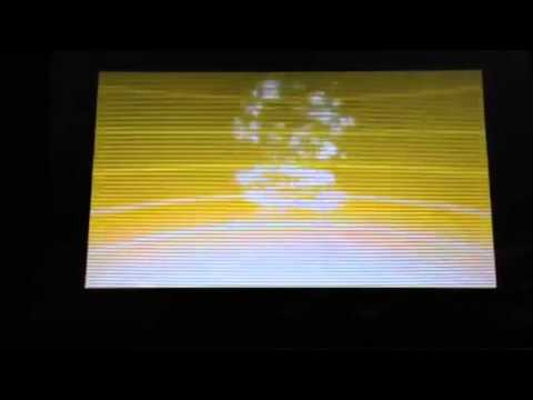 色違いクルミルからクルマユへ