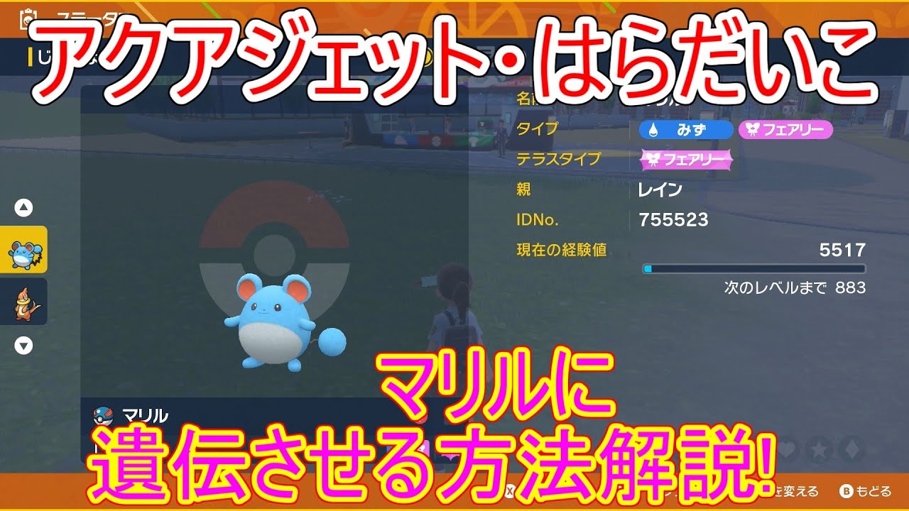 【ポケモンSV】マリルリにアクアジェットとはらだいこを遺伝させる方法解説！【マリル/ルリリ/タマゴ技/スカーレット・バイオレット】