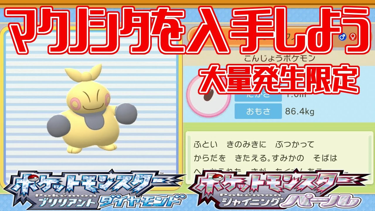 【ポケモンダイパリメイク】マクノシタを入手しよう 大量発生限定 225番道路【ポケットモンスター ブリリアントダイヤモンド・シャイニングパール】Pocket Monsters