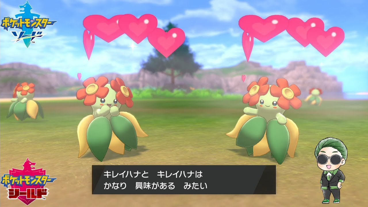 キレイハナとキャンプで遊ぶだけ【ポケモン剣盾】