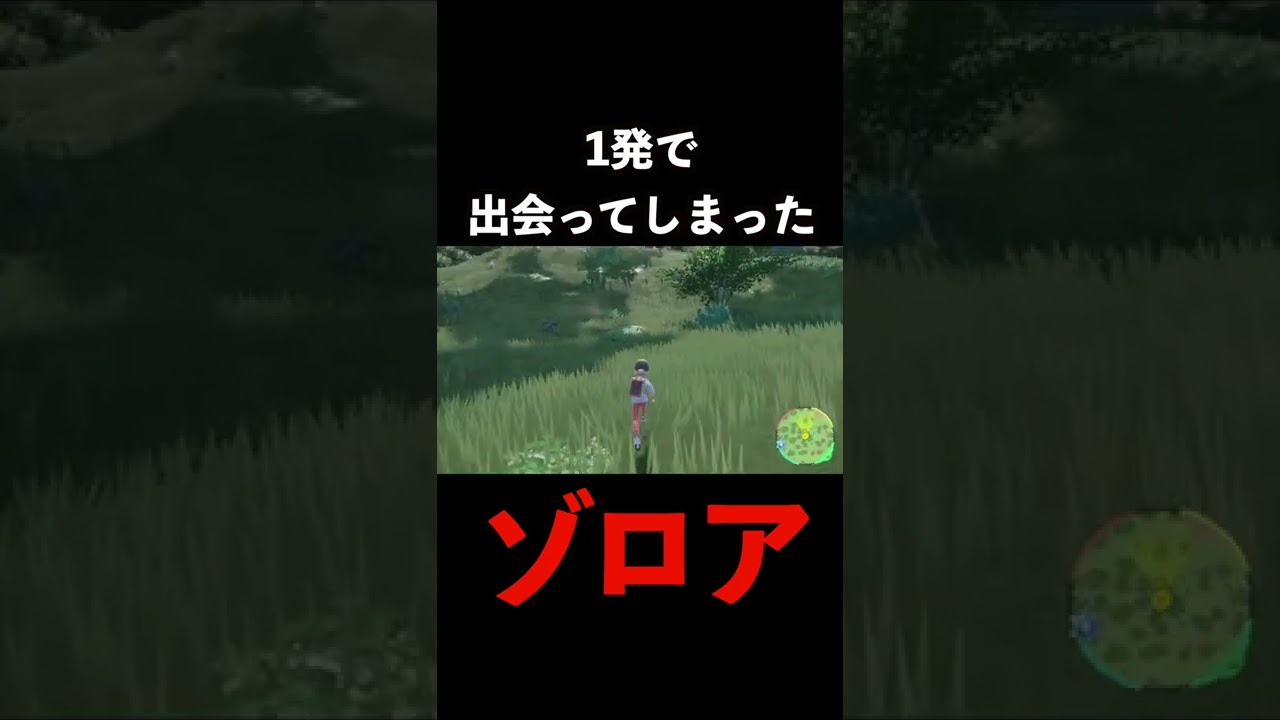 1発で出会ってしまったゾロア