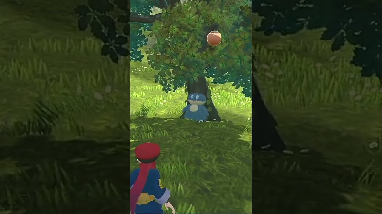 バグ？木の中にはまるゴンベ【ポケモンアルセウス】#shorts