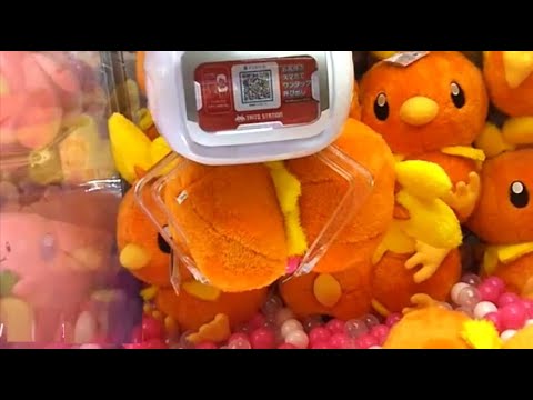 【トリプルキャッチャー】ポケットモンスター ほっこりいやされ めちゃでかアチャモぬいぐるみ