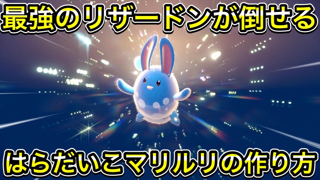 【ポケモンSV】はらだいこマリルリの作り方【育成論】